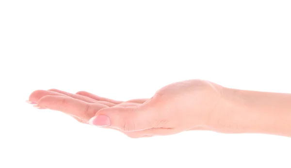 Γυναίκα χεριών φθάνει για κάτι να απομονωθεί σε λευκό — Φωτογραφία Αρχείου
