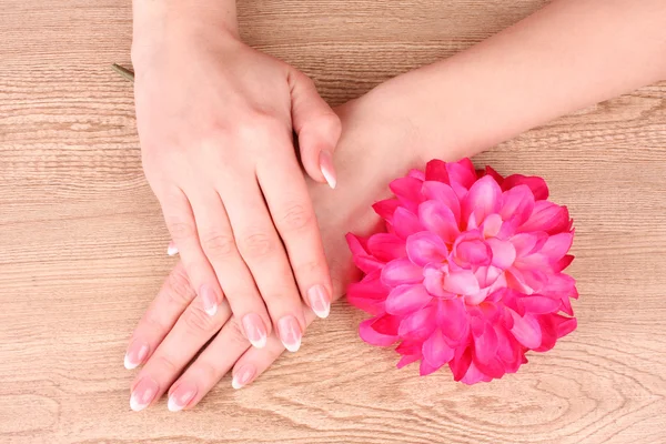 Vrouw handen met Frans manicure houden rode bloem — Stockfoto