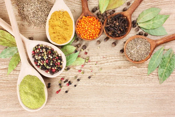 Spices in the spoons — Stock Photo, Image