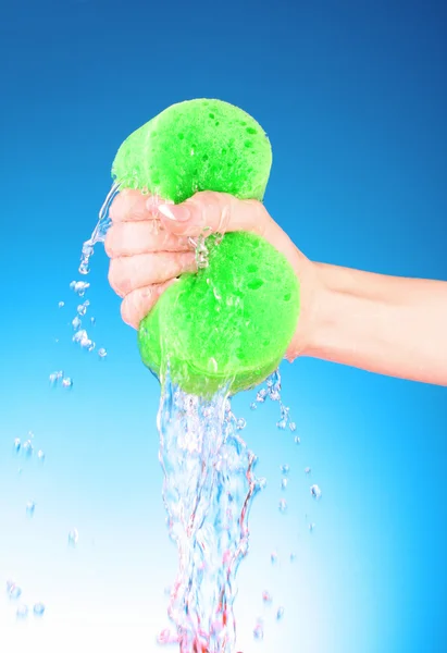 Squeezing sponge on blue background — Stock Photo, Image