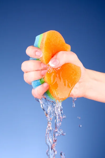 stock image Squeezing sponge on background