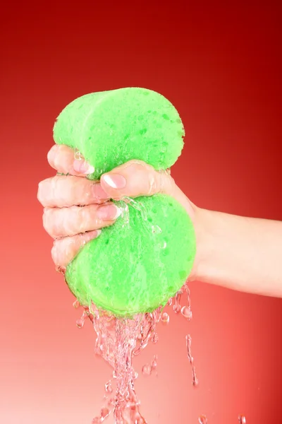 Squeezing sponge on red background — Stock Photo, Image