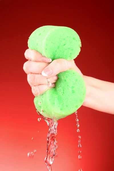 Squeezing sponge on red background — Stock Photo, Image