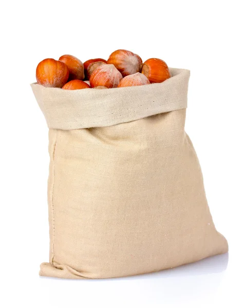 stock image Hazelnuts in bag