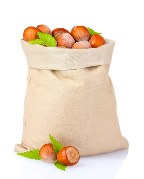 Hazelnuts in bag — Stock Photo, Image