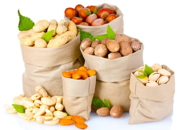 stock image Variety of nuts in bags