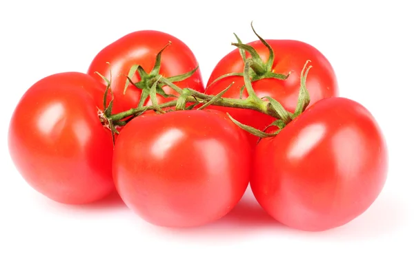 Tomates cereza aislados en blanco — Foto de Stock