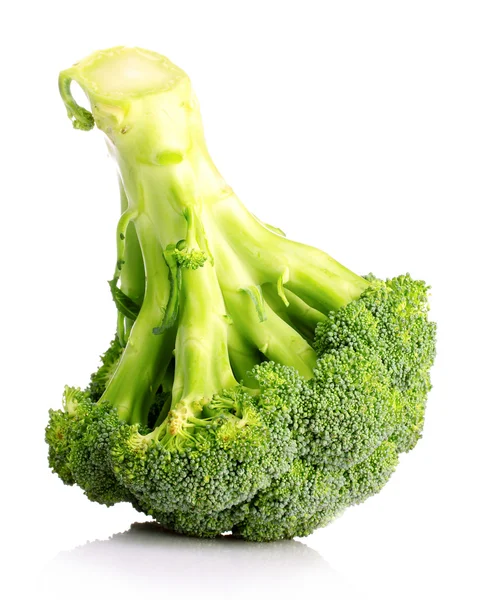 Broccoli isolerad på vitt — Stockfoto