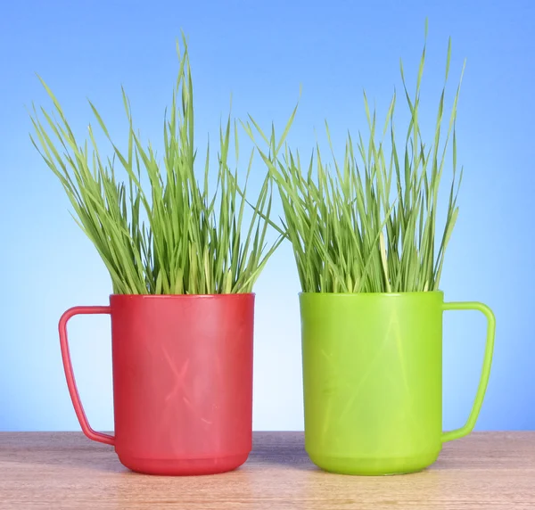 Två koppar med gräs på blå bakgrund — Stockfoto