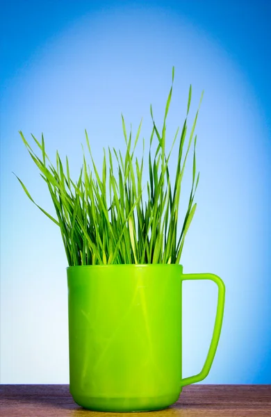 Cup with grass on blue background — Stock Photo, Image