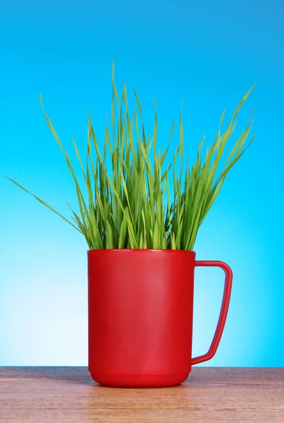 Kopp med gräs på blå bakgrund — Stockfoto