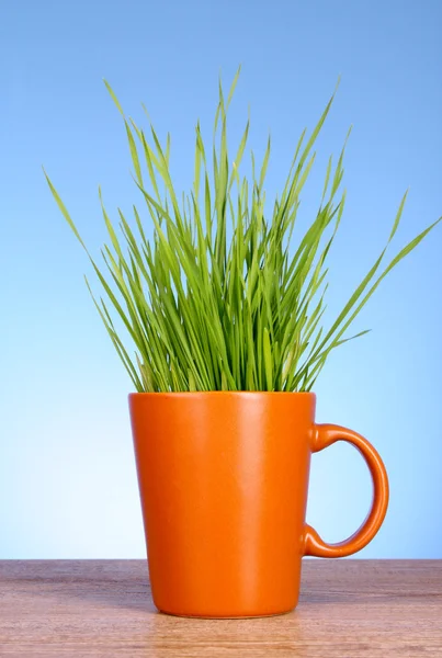 Cup with grass on blue background — Stock Photo, Image