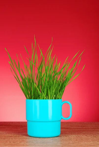 Cup with grass on red background — Stock Photo, Image