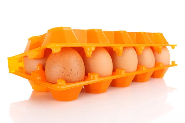 Eieren in plastic doos geïsoleerd op wit — Stockfoto