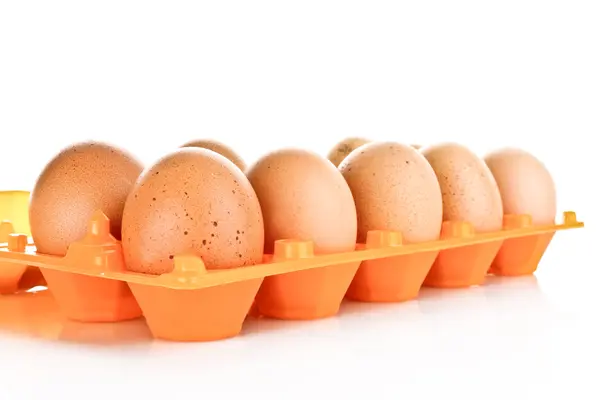 Яйця в пластиковій коробці ізольовані на білому — стокове фото
