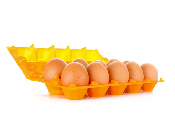 Huevos en caja de plástico aislados en blanco — Foto de Stock