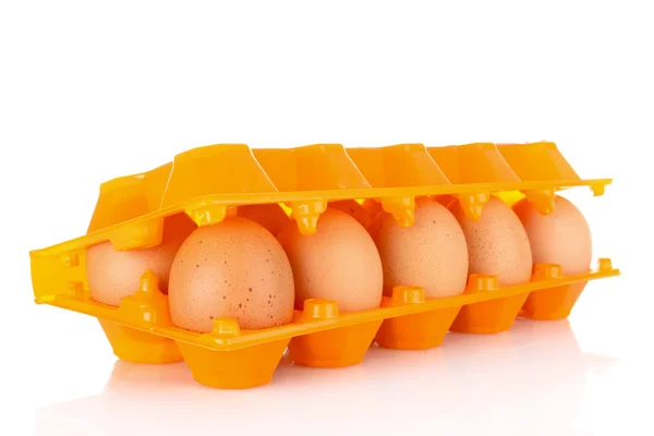 Ovos em caixa de plástico isolado em branco — Fotografia de Stock