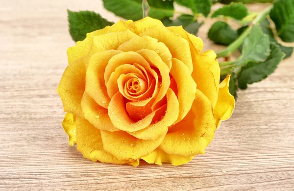 Žlutý květ na dřevěném stole — Stock fotografie