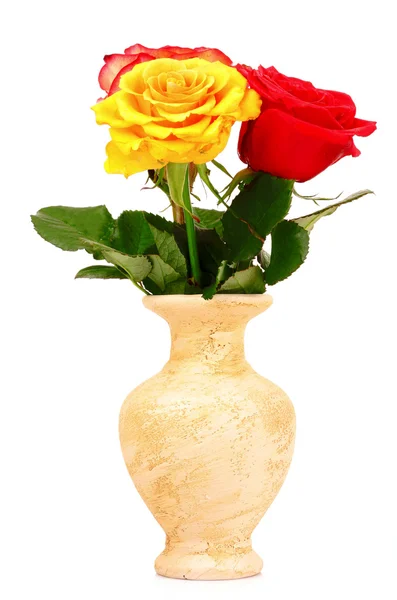Розы в вазе изолированы на белом — стоковое фото