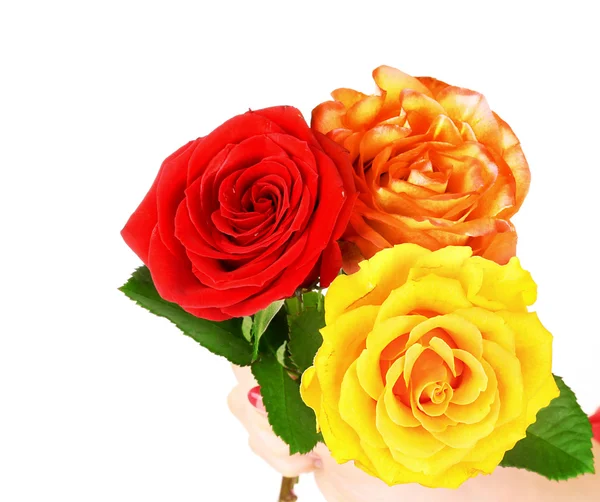 Κόκκινα και κίτρινα τριαντάφυλλα που απομονώνονται σε λευκό — Φωτογραφία Αρχείου