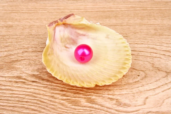 Perla rossa in conchiglia — Foto Stock