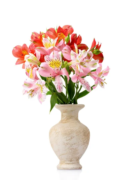 Bellissimo Bouquet in Vaso — Foto Stock