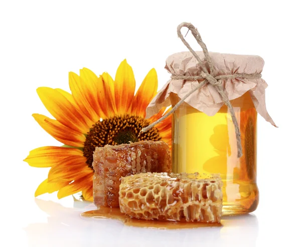 Beautiful combs, honey and sunflower — Stock Photo, Image