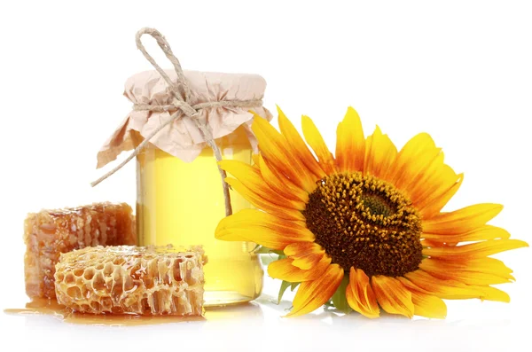 Beautiful combs, honey and sunflower — Stock Photo, Image