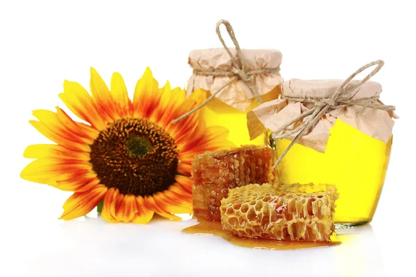 Bonitos peines, miel y girasol — Foto de Stock