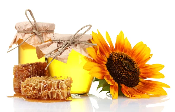 Schöne Waben, Honig und Sonnenblumen — Stockfoto
