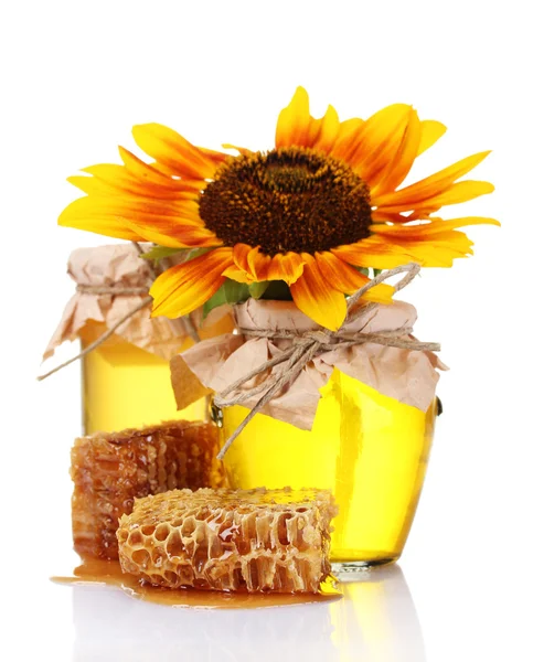Lindo pentes, mel e girassol — Fotografia de Stock