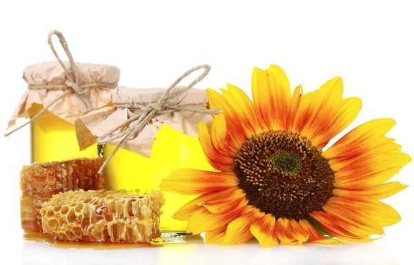 Bellissimi pettini, miele e girasole — Foto Stock