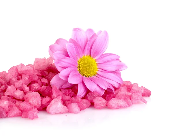 Çiçek ve banyo beyaz zemin üzerine tuz — Stok fotoğraf