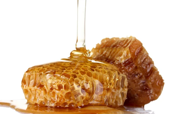 Beautiful combs and honey — Stock Photo, Image