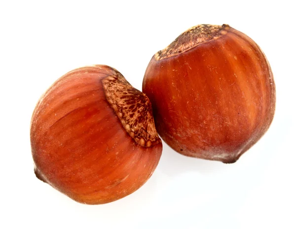 Два Hazelnuts изолированы на белом фоне — стоковое фото