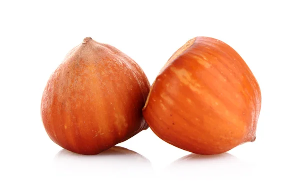 Two Hazelnuts Isolated on White Background — Stock Photo, Image