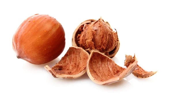 Hazelnuts Isolated on White Background — Stock Photo, Image