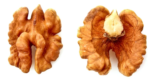 Closeup of a walnut isolated on white background — Stock Photo, Image