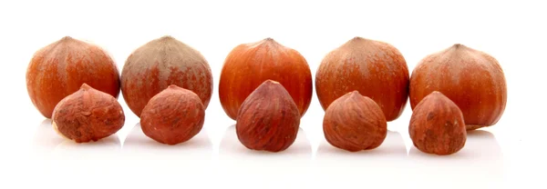 Big and small Hazelnuts Isolated on White Background — Stock Photo, Image