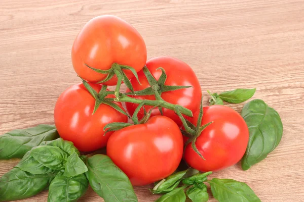 Tomate fresco e folhas de manjericão — Fotografia de Stock