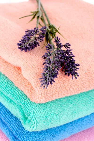 Asciugamani Terry e lavanda — Foto Stock