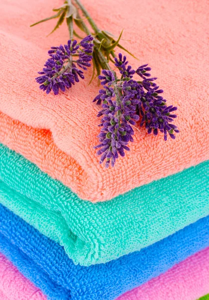 stock image Terry towels and lavender