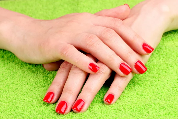 Belle mani con manicure rossa — Foto Stock