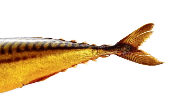 Füme balık kuyruğu beyaz izole — Stok fotoğraf