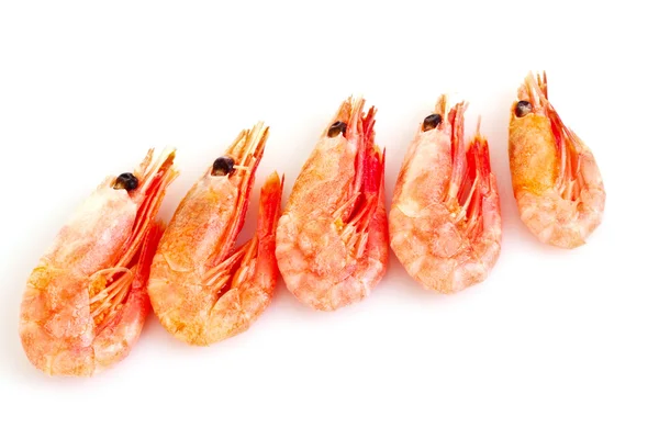 Fresh shrimp isolated on white — Stock Photo, Image