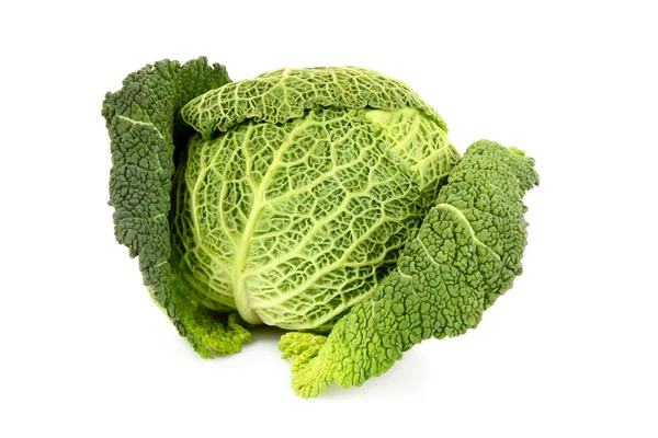 Savoy cabbage isolated on white Stock Picture