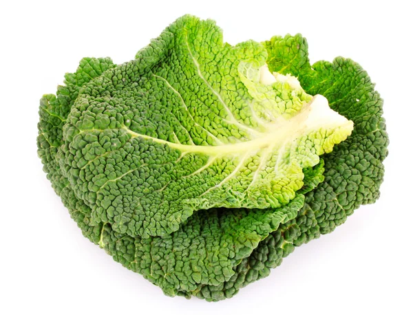 Savoy cabbage isolated on white Stock Image