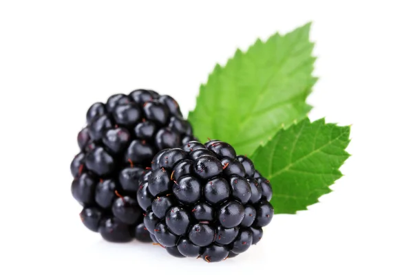Beautiful blackberries Royalty Free Stock Photos