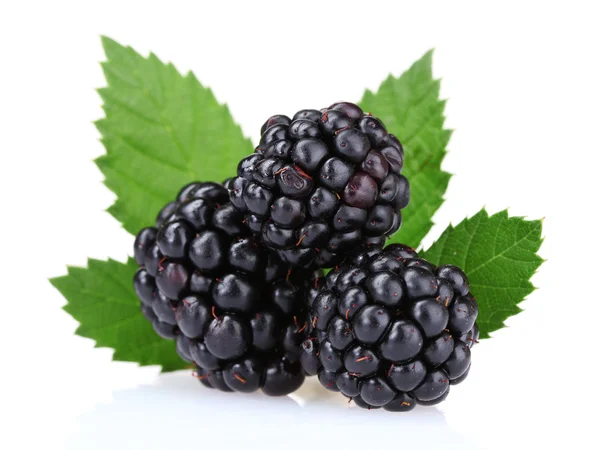 Beautiful blackberries Stock Photo