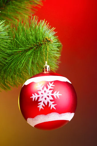 Beautiful Christmas red ball on fir tree Stock Photo